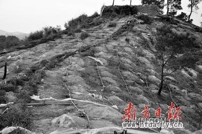漫山遍野皆是網(wǎng)狀酸液管道。