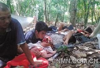 為躲避加納軍警，一些中國采金者在附近的可可樹林躲藏。本版圖片由中國采金者提供