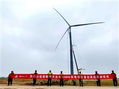 中國二十二冶機電公司邯鄲新天永年100兆瓦風電項目首臺風機吊裝完成